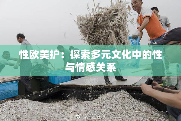 性欧美护：探索多元文化中的性与情感关系
