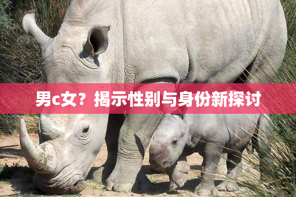 男c女？揭示性别与身份新探讨