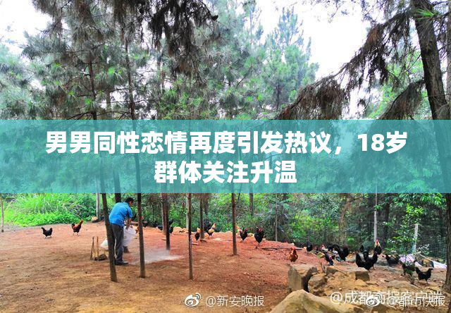 男男同性恋情再度引发热议，18岁群体关注升温