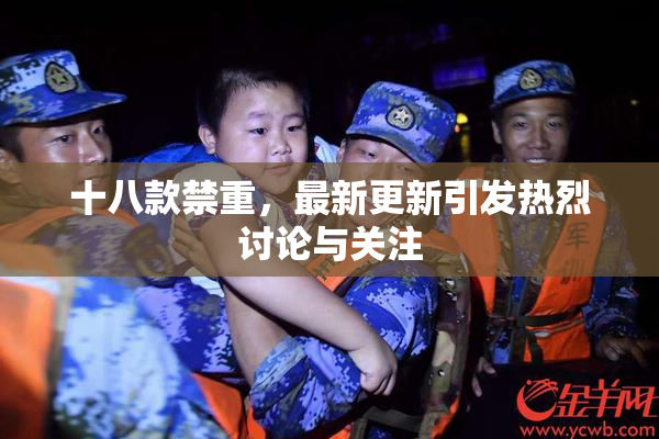 十八款禁重，最新更新引发热烈讨论与关注