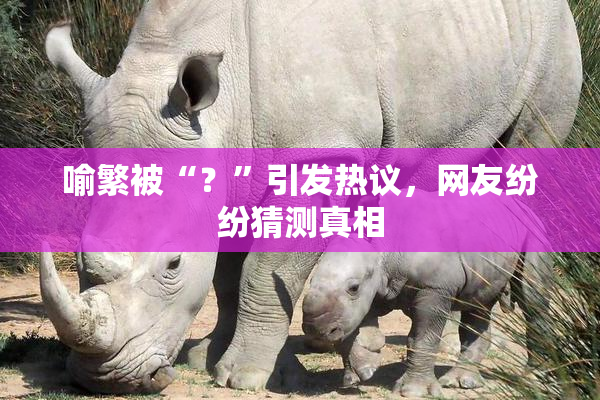 喻繁被“？”引发热议，网友纷纷猜测真相