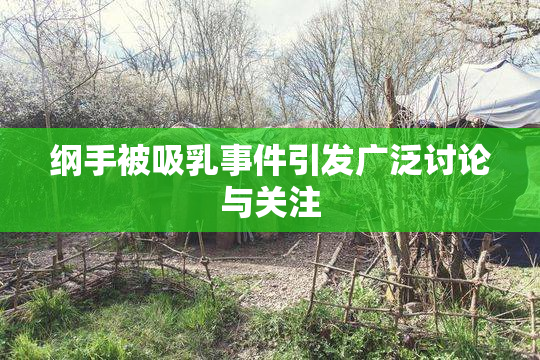 纲手被吸乳事件引发广泛讨论与关注