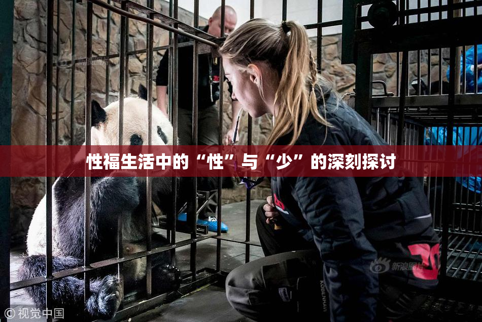 性福生活中的“性”与“少”的深刻探讨