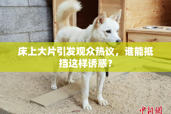 床上大片引发观众热议，谁能抵挡这样诱惑？