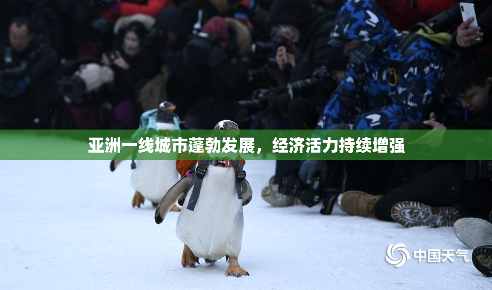 亚洲一线城市蓬勃发展，经济活力持续增强