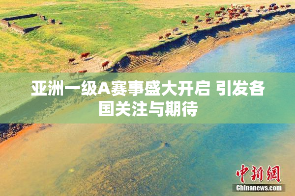 亚洲一级A赛事盛大开启 引发各国关注与期待