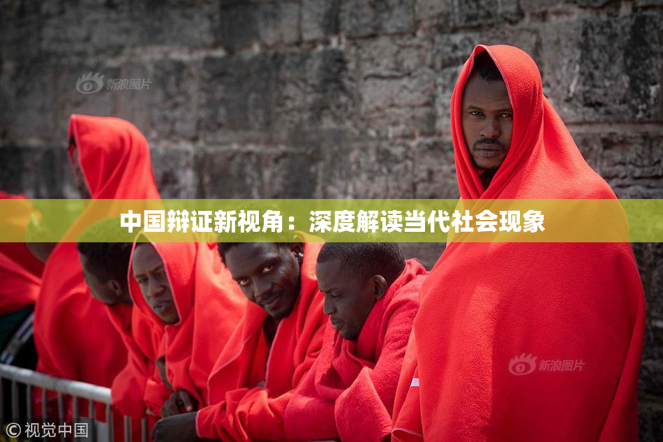 中国辩证新视角：深度解读当代社会现象