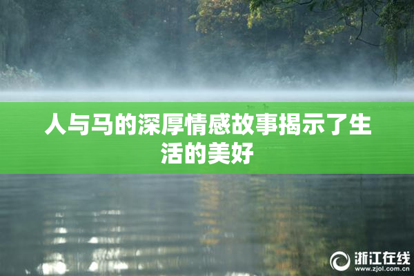 人与马的深厚情感故事揭示了生活的美好