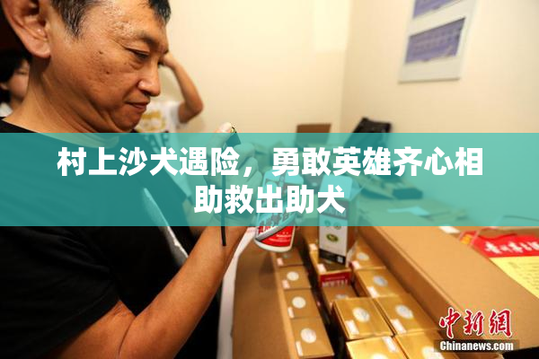 村上沙犬遇险，勇敢英雄齐心相助救出助犬