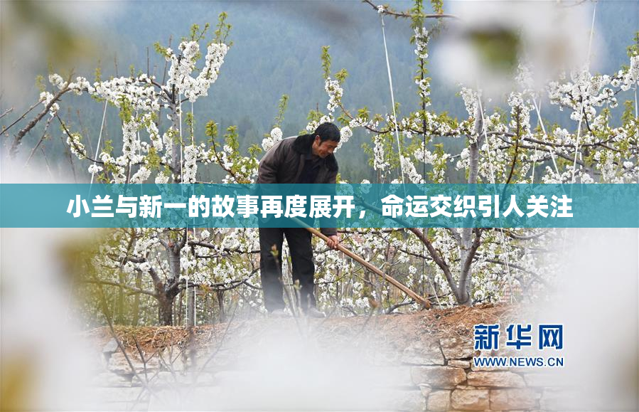 小兰与新一的故事再度展开，命运交织引人关注