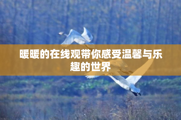 暖暖的在线观带你感受温馨与乐趣的世界