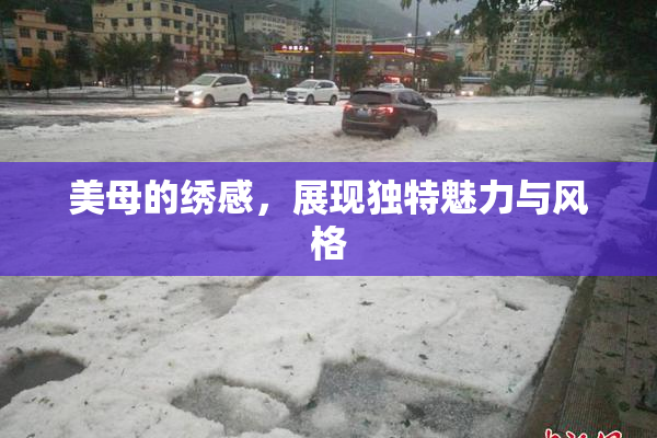 美母的绣感，展现独特魅力与风格