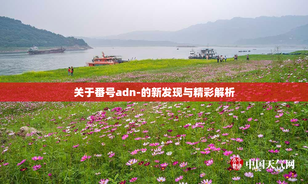 关于番号adn-的新发现与精彩解析
