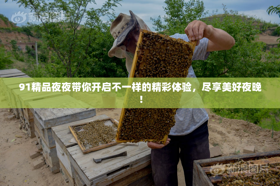 91精品夜夜带你开启不一样的精彩体验，尽享美好夜晚！