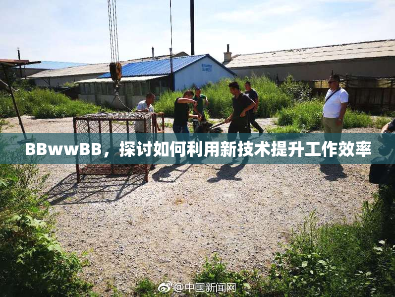 BBwwBB，探讨如何利用新技术提升工作效率