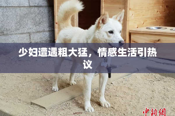 少妇遭遇粗大猛，情感生活引热议
