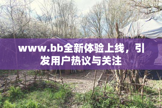 www.bb全新体验上线，引发用户热议与关注