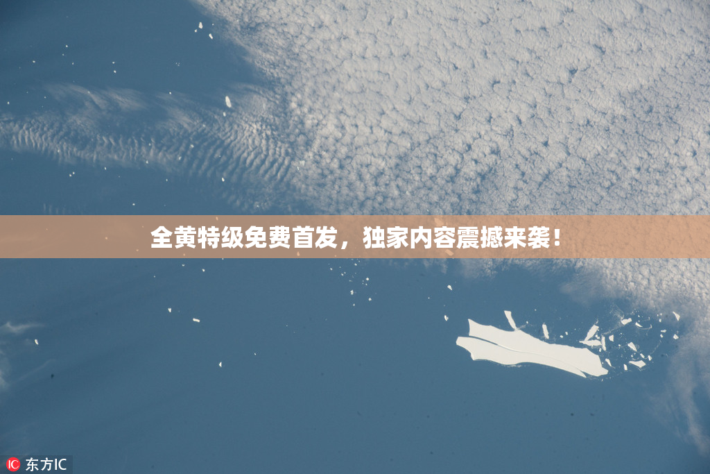 全黄特级免费首发，独家内容震撼来袭！