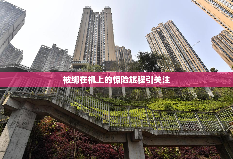 被绑在机上的惊险旅程引关注