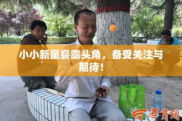 小小新星崭露头角，备受关注与期待！