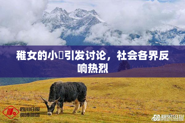 稚女的小泬引发讨论，社会各界反响热烈