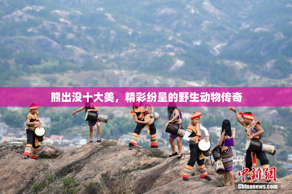 熊出没十大美，精彩纷呈的野生动物传奇