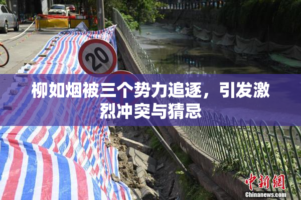 柳如烟被三个势力追逐，引发激烈冲突与猜忌