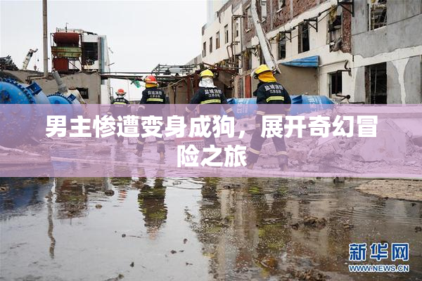 男主惨遭变身成狗，展开奇幻冒险之旅