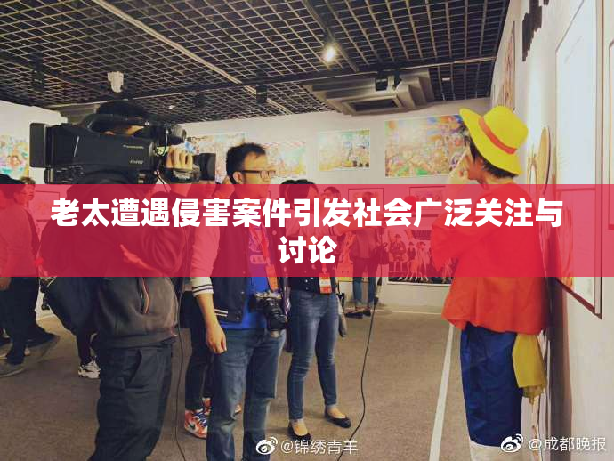 老太遭遇侵害案件引发社会广泛关注与讨论