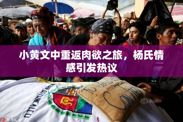 小黄文中重返肉欲之旅，杨氏情感引发热议