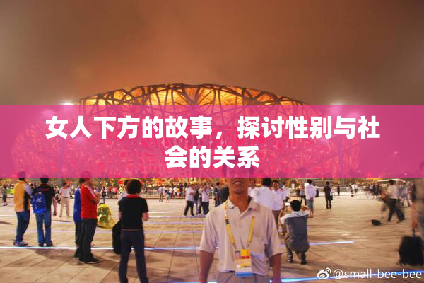 女人下方的故事，探讨性别与社会的关系
