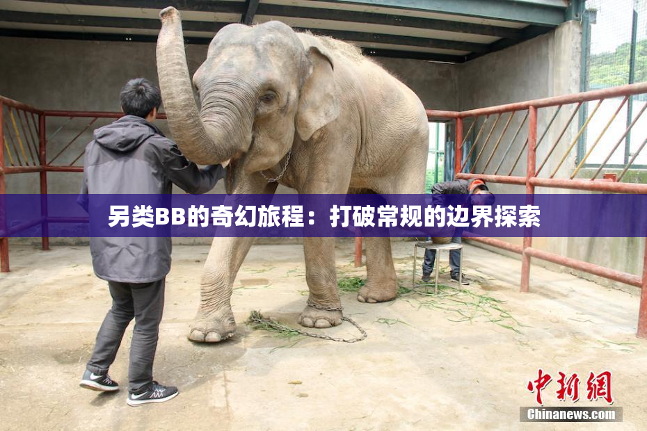另类BB的奇幻旅程：打破常规的边界探索