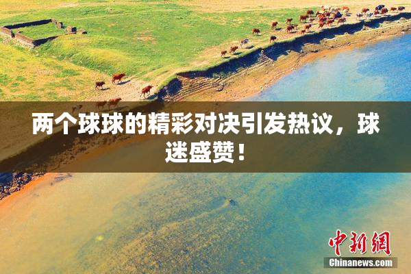 两个球球的精彩对决引发热议，球迷盛赞！