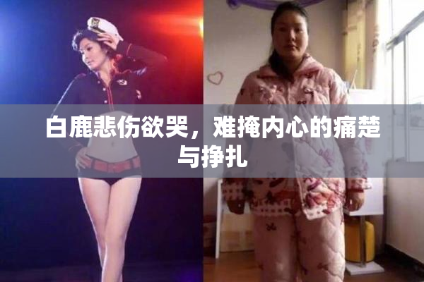 白鹿悲伤欲哭，难掩内心的痛楚与挣扎