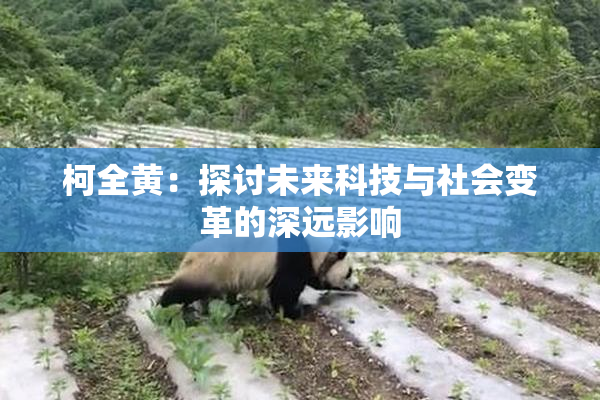 柯全黄：探讨未来科技与社会变革的深远影响