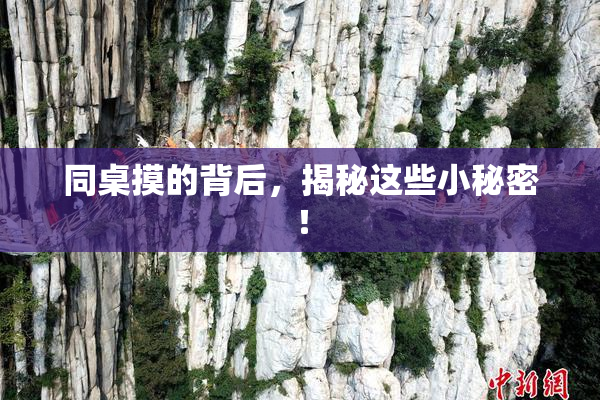 同桌摸的背后，揭秘这些小秘密！