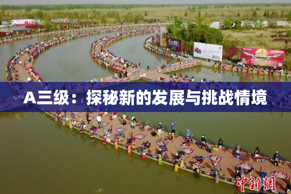 A三级：探秘新的发展与挑战情境