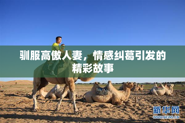 驯服高傲人妻，情感纠葛引发的精彩故事