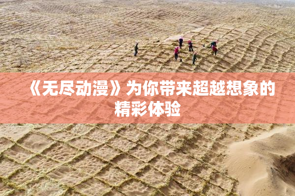 《无尽动漫》为你带来超越想象的精彩体验