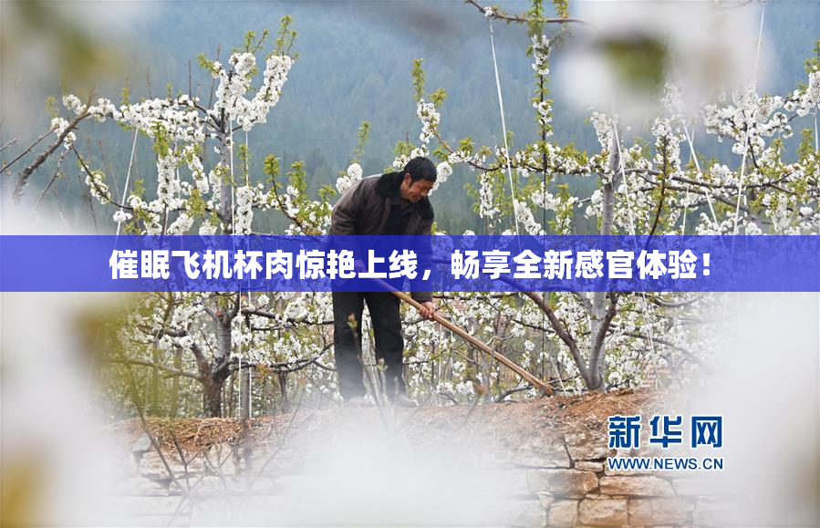 催眠飞机杯肉惊艳上线，畅享全新感官体验！