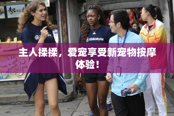 主人揉揉，爱宠享受新宠物按摩体验！