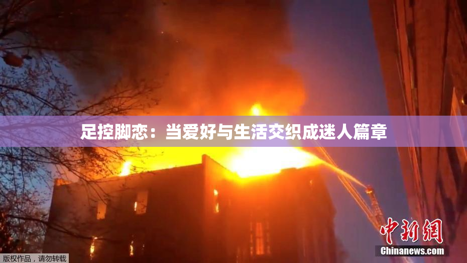足控脚恋：当爱好与生活交织成迷人篇章
