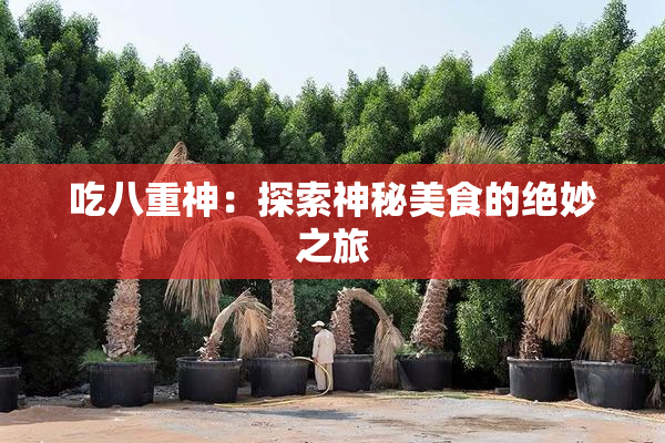 吃八重神：探索神秘美食的绝妙之旅