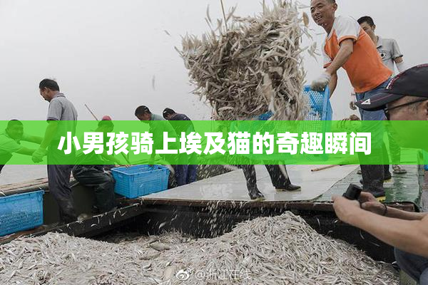 小男孩骑上埃及猫的奇趣瞬间