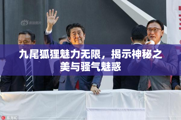 九尾狐狸魅力无限，揭示神秘之美与骚气魅惑