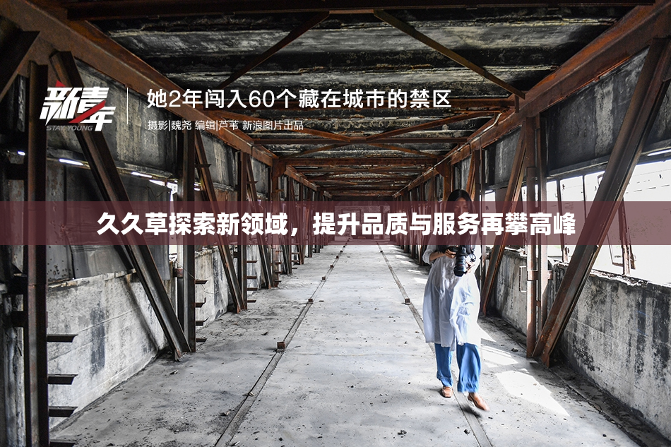 久久草探索新领域，提升品质与服务再攀高峰