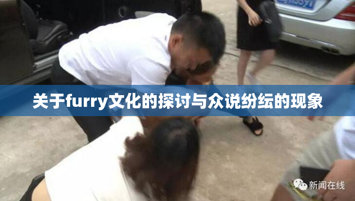 关于furry文化的探讨与众说纷纭的现象