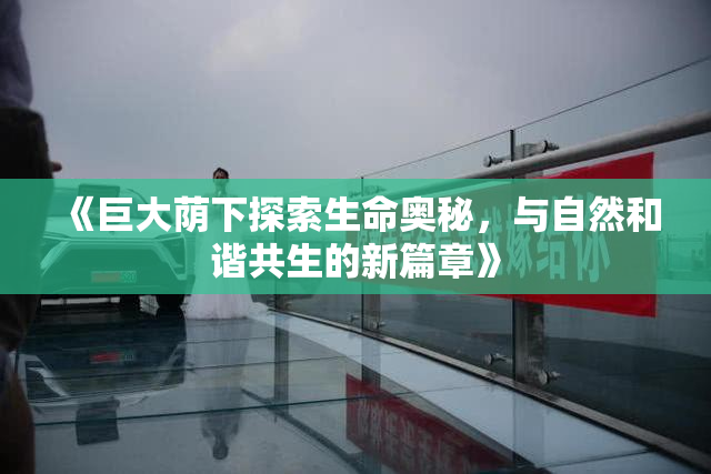《巨大荫下探索生命奥秘，与自然和谐共生的新篇章》