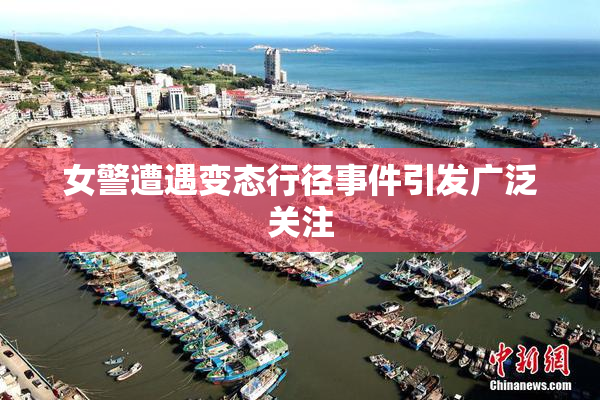 女警遭遇变态行径事件引发广泛关注