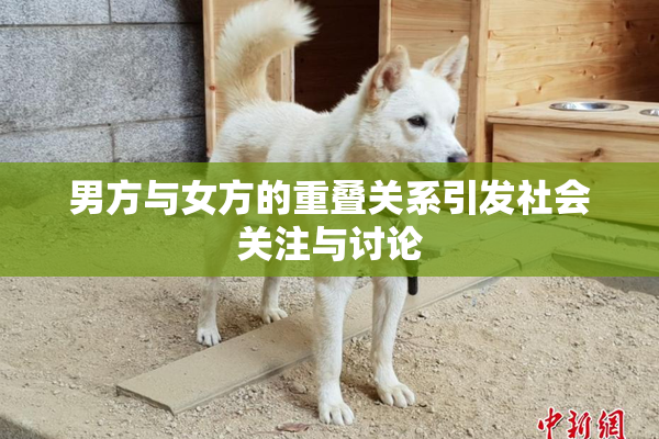 男方与女方的重叠关系引发社会关注与讨论